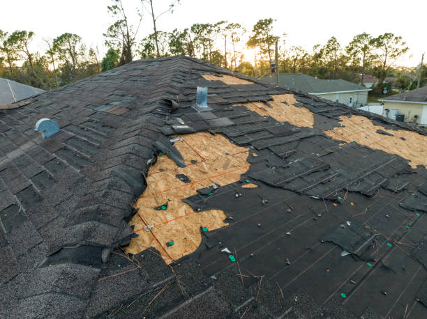 Best Skylight Installation and Repair  in Kingstowne, VA